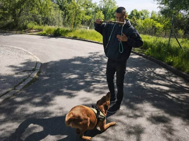 Victor Sánchez Casas bei einer Hundetrainingseinheit